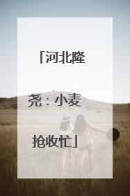河北隆尧：小麦抢收忙