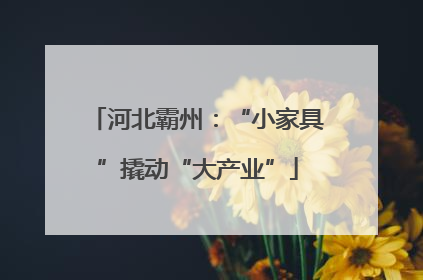 河北霸州：“小家具”撬动“大产业”