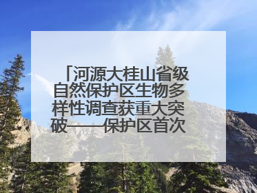 河源大桂山省级自然保护区生物多样性调查获重大突破——保护区首次发现珍稀名贵野生干巴菌与钝尾两头蛇