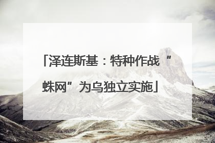 泽连斯基：特种作战“蛛网”为乌独立实施