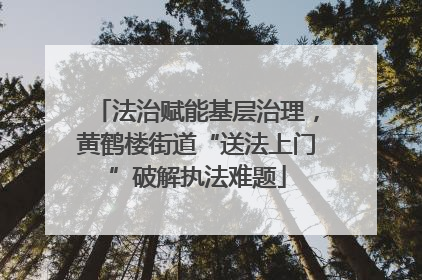 法治赋能基层治理，黄鹤楼街道“送法上门”破解执法难题
