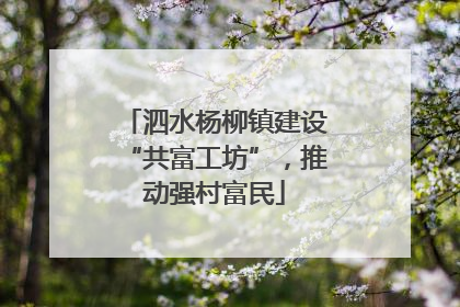 泗水杨柳镇建设“共富工坊”，推动强村富民