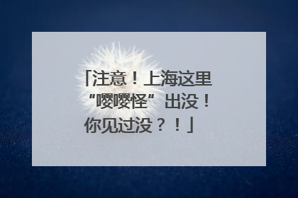 注意！上海这里“嘤嘤怪”出没！你见过没？！