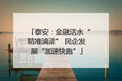 泰安：金融活水“精准滴灌” 民企发展“加速快跑”