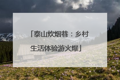 泰山炊烟巷：乡村生活体验游火爆