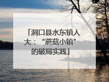 洞口县水东镇人大：“蘑菇小镇”的破局实践