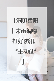 洞见岳阳丨未雨绸缪 打好防汛“主动仗”