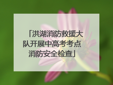 洪湖消防救援大队开展中高考考点消防安全检查