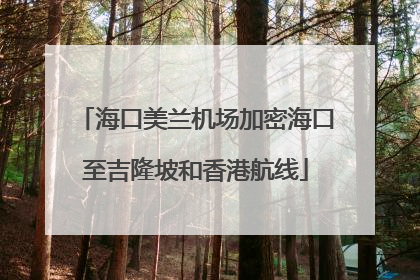 海口美兰机场加密海口至吉隆坡和香港航线