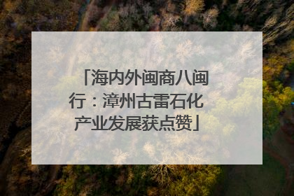 海内外闽商八闽行：漳州古雷石化产业发展获点赞
