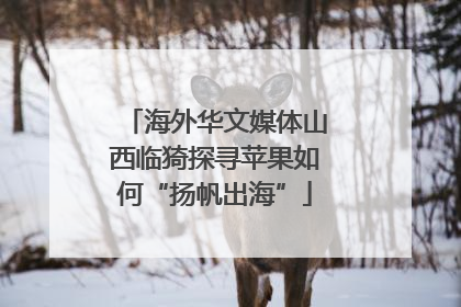 海外华文媒体山西临猗探寻苹果如何“扬帆出海”