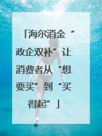 海尔消金“政企双补”让消费者从“想要买”到“买得起”