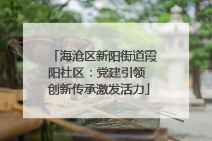 海沧区新阳街道霞阳社区：党建引领 创新传承激发活力