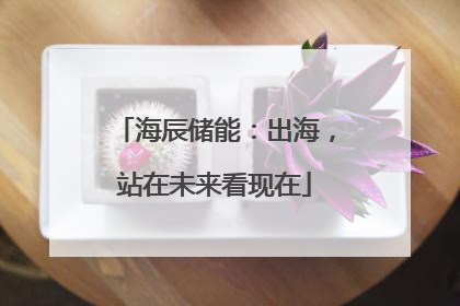 海辰储能：出海，站在未来看现在