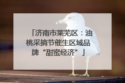 济南市莱芜区：油桃采摘节催生区域品牌“甜蜜经济”