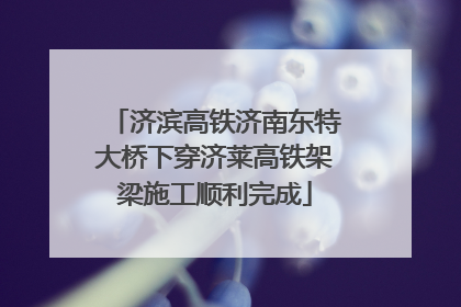 济滨高铁济南东特大桥下穿济莱高铁架梁施工顺利完成
