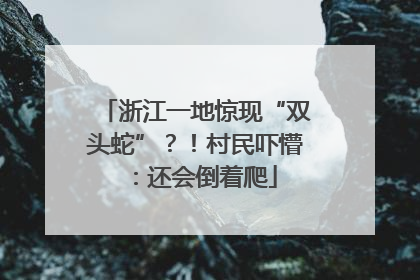 浙江一地惊现“双头蛇”？！村民吓懵：还会倒着爬