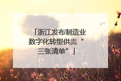 浙江发布制造业数字化转型供需“三张清单”