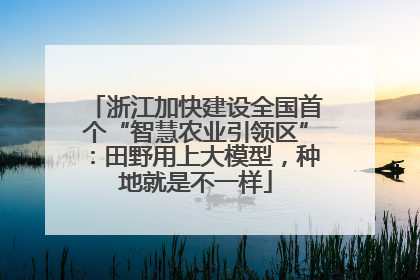 浙江加快建设全国首个“智慧农业引领区”：田野用上大模型，种地就是不一样