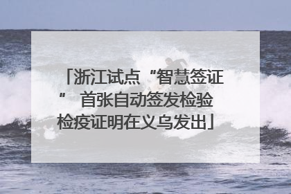 浙江试点“智慧签证” 首张自动签发检验检疫证明在义乌发出