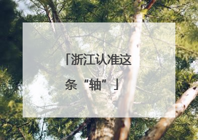 浙江认准这条“轴”