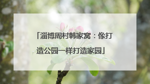 淄博周村韩家窝：像打造公园一样打造家园