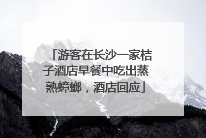 游客在长沙一家桔子酒店早餐中吃出蒸熟蟑螂，酒店回应