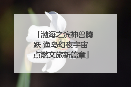 渤海之滨神兽腾跃 渔岛幻夜宇宙点燃文旅新篇章
