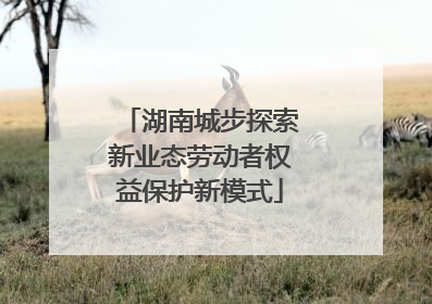 湖南城步探索新业态劳动者权益保护新模式