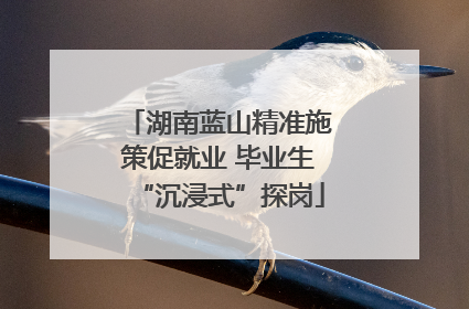 湖南蓝山精准施策促就业 毕业生“沉浸式”探岗