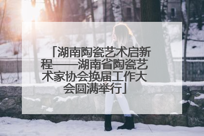 湖南陶瓷艺术启新程——湖南省陶瓷艺术家协会换届工作大会圆满举行