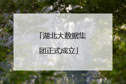 湖北大数据集团正式成立