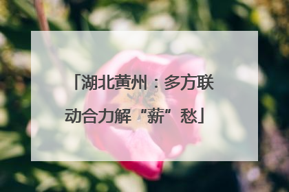 湖北黄州：多方联动合力解“薪”愁