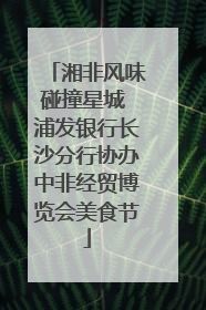 湘非风味碰撞星城 浦发银行长沙分行协办中非经贸博览会美食节