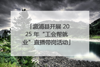 溆浦县开展 2025 年“工会帮就业”直播带岗活动