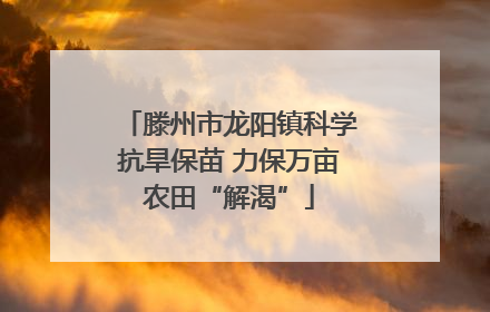 滕州市龙阳镇科学抗旱保苗 力保万亩农田“解渴”