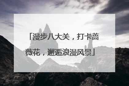 漫步八大关,打卡蔷薇花,邂逅浪漫风景