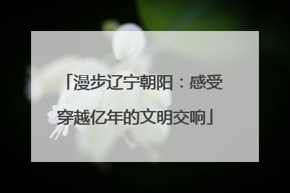 漫步辽宁朝阳：感受穿越亿年的文明交响
