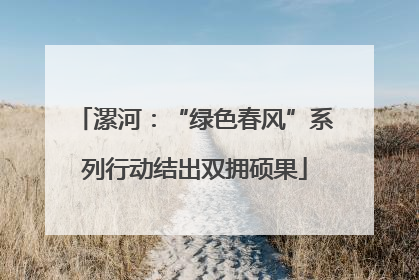 漯河：“绿色春风”系列行动结出双拥硕果