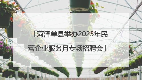 菏泽单县举办2025年民营企业服务月专场招聘会