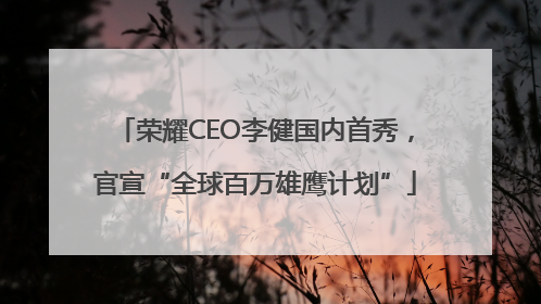 荣耀CEO李健国内首秀，官宣“全球百万雄鹰计划”