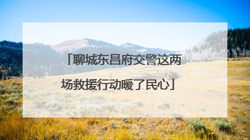 聊城东昌府交警这两场救援行动暖了民心