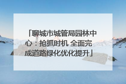 聊城市城管局园林中心：抢抓时机 全面完成道路绿化优化提升