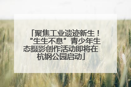 聚焦工业遗迹新生！“生生不息”青少年生态摄影创作活动即将在杭钢公园启动