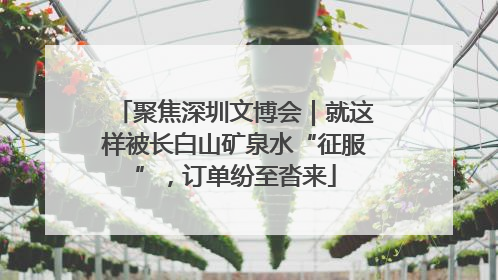 聚焦深圳文博会｜就这样被长白山矿泉水“征服”，订单纷至沓来