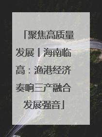 聚焦高质量发展丨海南临高：渔港经济奏响三产融合发展强音