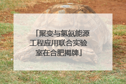 聚变与氢氨能源工程应用联合实验室在合肥揭牌