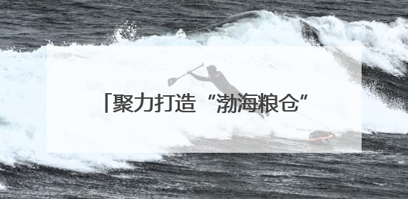 聚力打造“渤海粮仓”新高度，滨州市供销社谱写“三夏”丰收乐章
