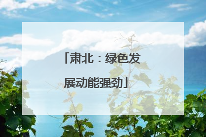 肃北：绿色发展动能强劲