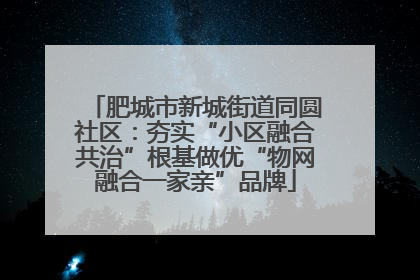 肥城市新城街道同圆社区：夯实“小区融合共治”根基做优“物网融合一家亲”品牌
